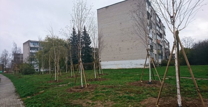 Lentvaris pasipuošė naujais želdiniais