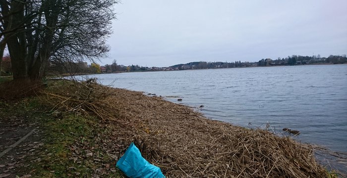 Valomos Trakų ežerų pakrantės