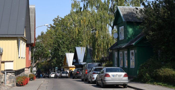 Trakų miesto Vytauto g. ir Karaimų g. (viešųjų erdvių) želdinių tvarkymo koncepcija
