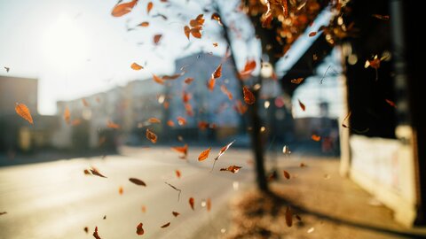 Perspėjimas apie pavojingą meteorologinį reiškinį – smarkų vėją spalio 31–lapkričio 2 dienomis