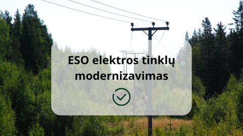 Patikimesnis elektros tiekimas: miškuose linijas perkels po žeme