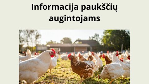 Informacija paukščių augintojams: nustatytas šiemet pirmasis Lietuvoje paukščių gripo protrūkis